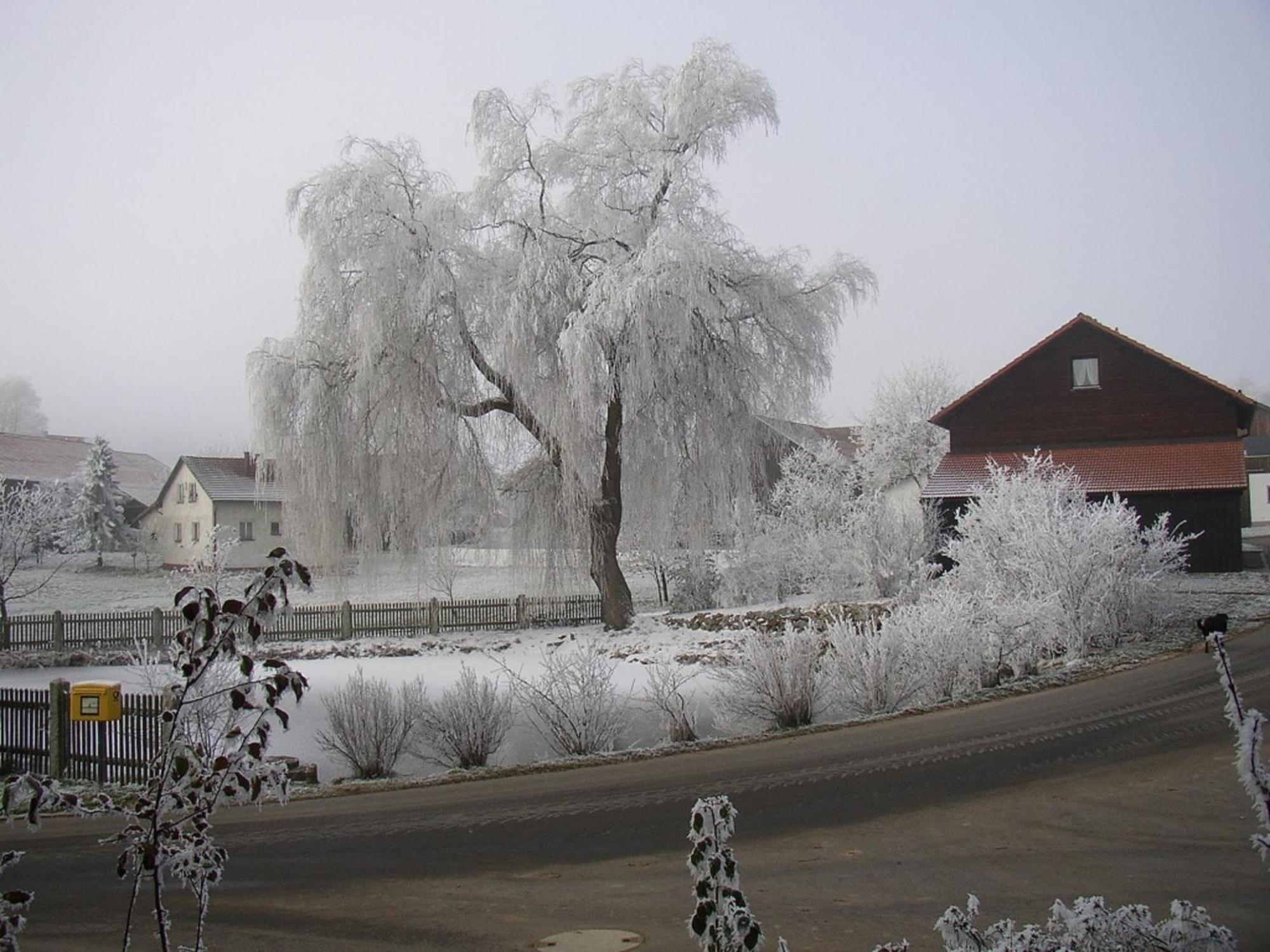 Zur Waldesruh Hotel
