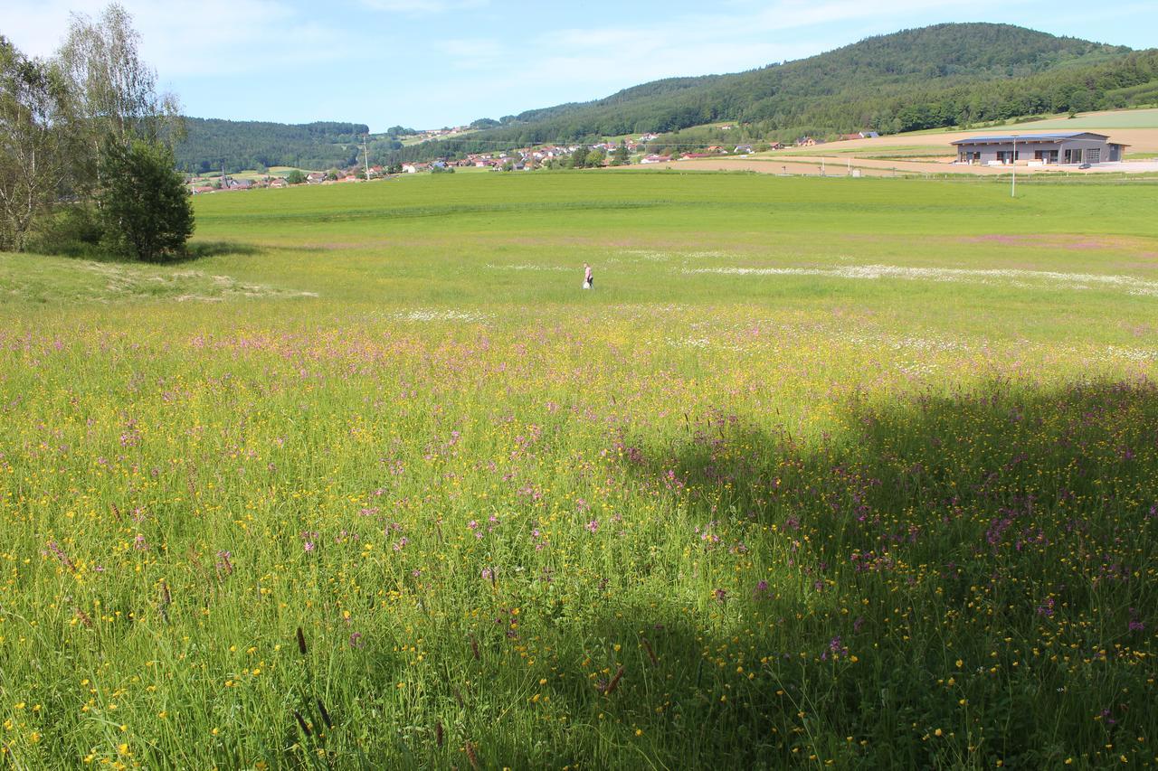 Zur Waldesruh Hotel Waffenbrunn